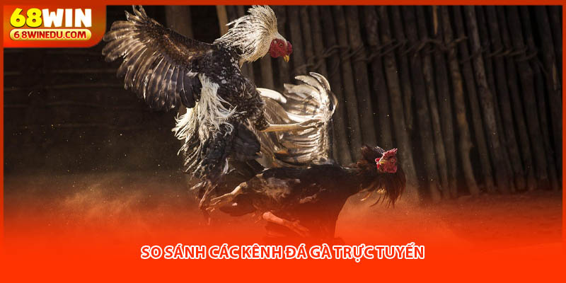 So sánh các kênh đá gà trực tuyến